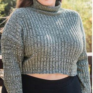 Cropped turtleneck sweater